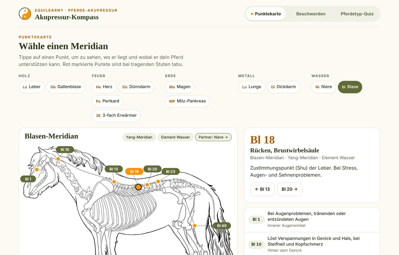 Punktekarte im Akupressur-Kompass: Blasen-Meridian auf der Pferdezeichnung mit allen Punkten und Erklärung zu Bl 18