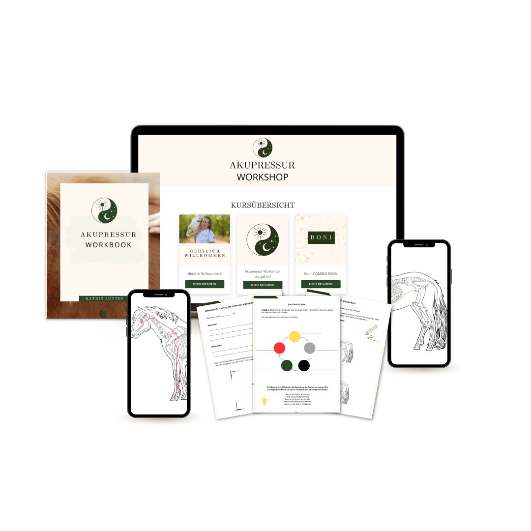 Der Akupressur-Workshop auf Laptop, Tablet und Smartphone inklusive Workbook
